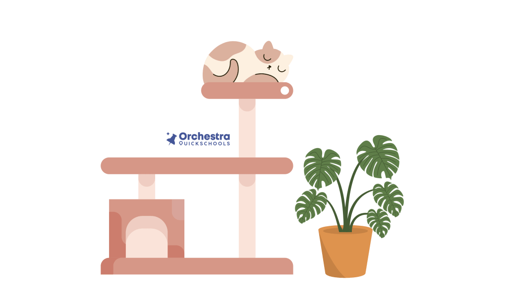 The Slower You Go, The More Summer You Find